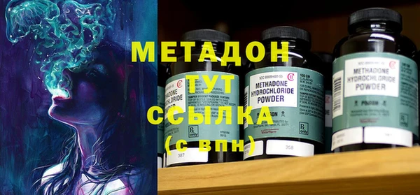 ПСИЛОЦИБИНОВЫЕ ГРИБЫ Арсеньев