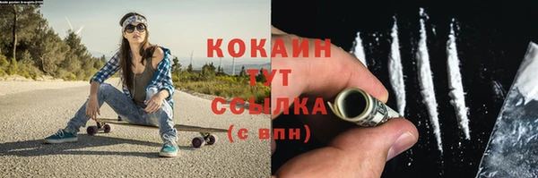 ПСИЛОЦИБИНОВЫЕ ГРИБЫ Арсеньев