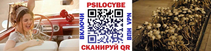 Псилоцибиновые грибы прущие грибы  Валдай 